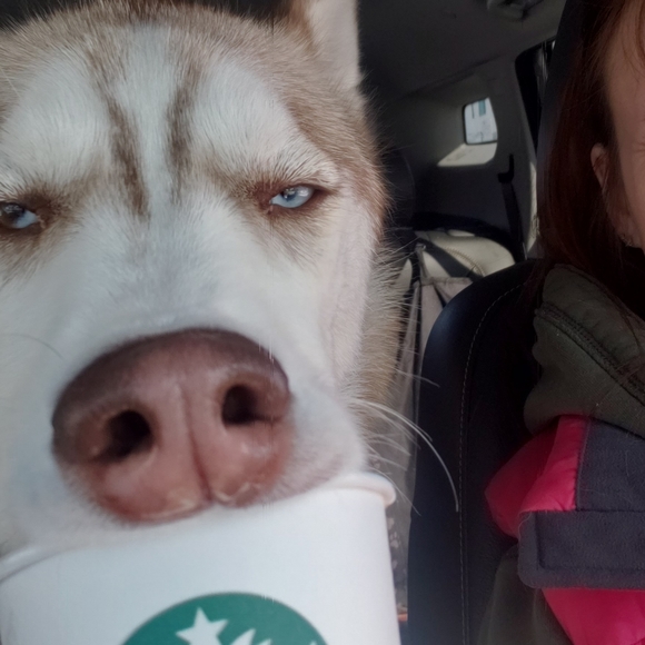 Not for sale - Picture 2 of 4